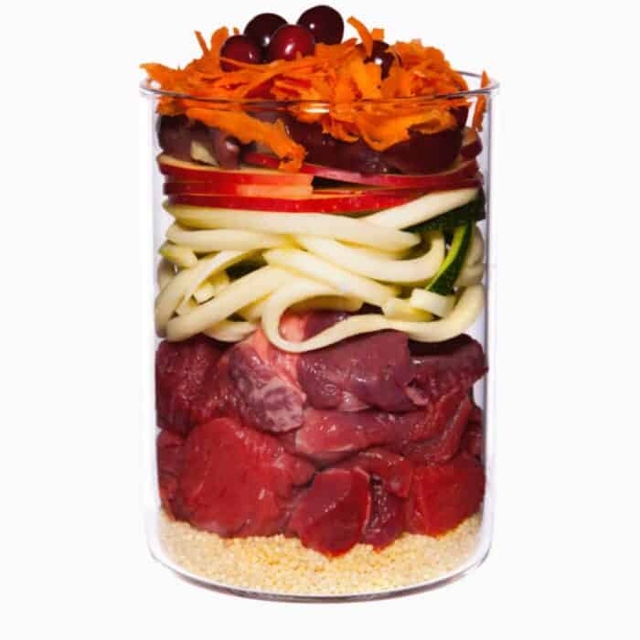 Terra Canis Puppy-Buey con manzana, zanahoria y escaramujo - Imagen 2