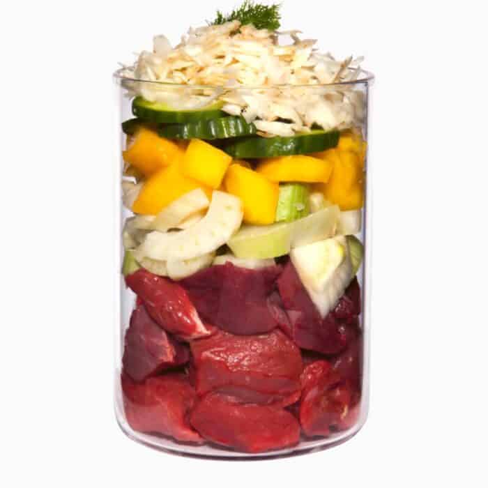 Terra Canis Light-Buey con calabaza, mango y alcachofa - Imagen 2