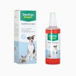 Stangest - Dentican Dentífrico en Spray