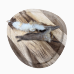 Orejas de Conejo con Pelo