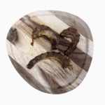 Cuellos de Pollo Deshidratados