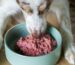 Perro comiendo una ración de dieta BARF con carne fresca y verduras en un cuenco