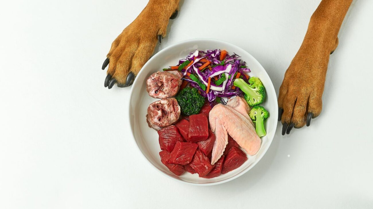 plato con productos frescos como pollo, pescado, verdura, alimentación sana perros